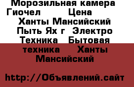Морозильная камера “Гиочел 101“ › Цена ­ 3 000 - Ханты-Мансийский, Пыть-Ях г. Электро-Техника » Бытовая техника   . Ханты-Мансийский